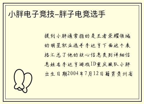 小胖电子竞技-胖子电竞选手